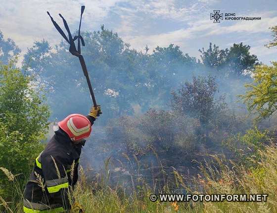 На Кіровоградщині надзвичайники ліквідували чотири пожежі (ФОТО)